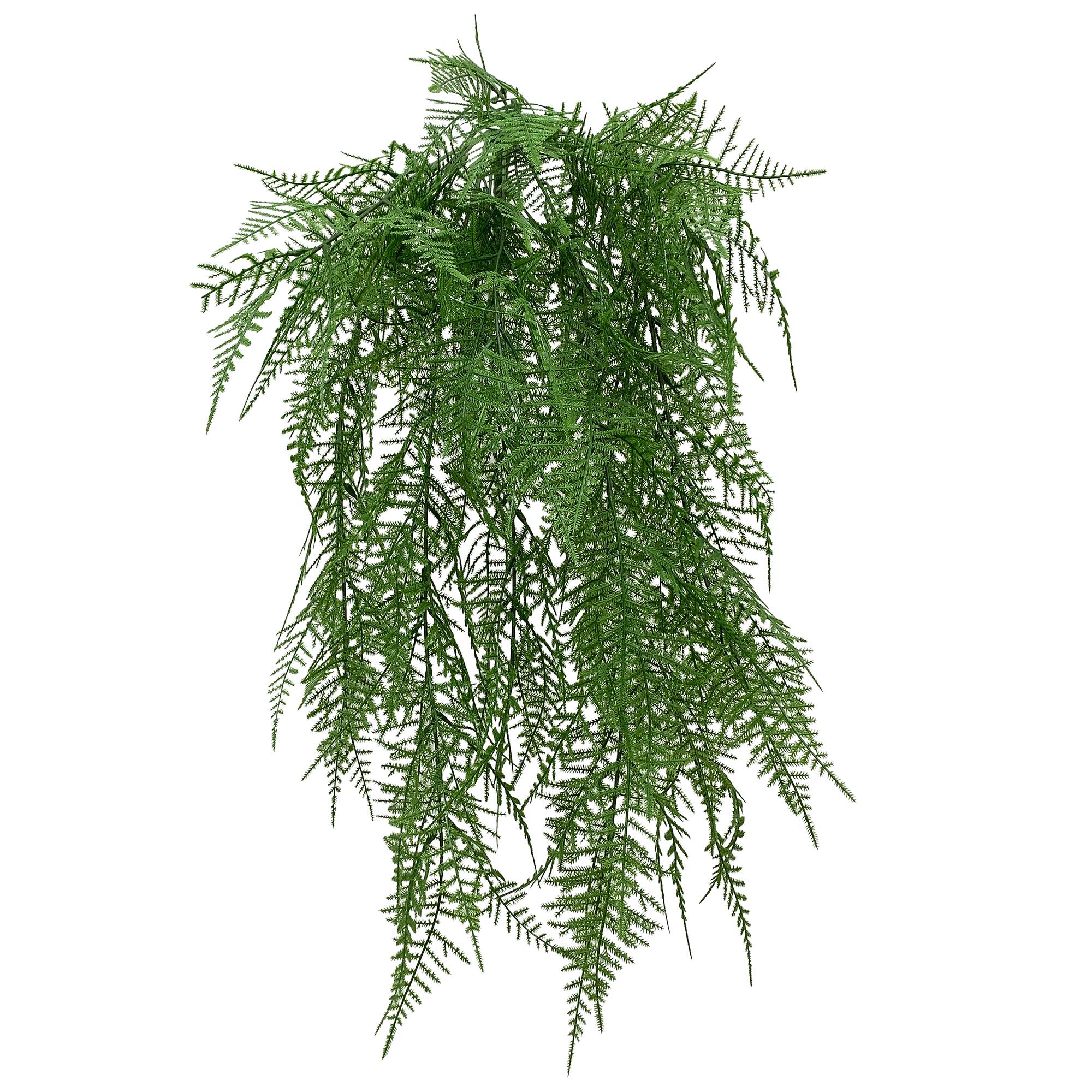 20" Green Asparagus Fern Bush by Ashland®